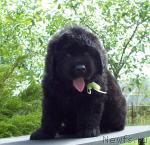 Превью фото № 44842