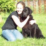 Превью фото № 44974