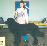 Превью фото № 4504