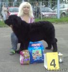 Превью фото № 45331