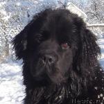 Превью фото № 45444