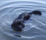 Превью фото № 45563