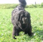 Превью фото № 45882