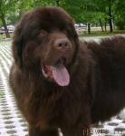 Превью фото № 4604