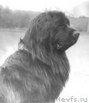 Превью фото № 4618