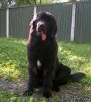 Превью фото № 46212