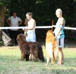 Превью фото № 46231