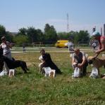 Превью фото № 46261