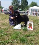 Превью фото № 46262