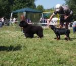 Превью фото № 46263