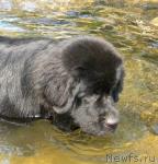 Превью фото № 46286