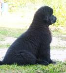 Превью фото № 46348