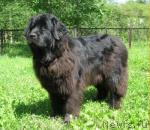 Превью фото № 4642