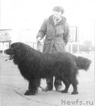 Превью фото № 4649