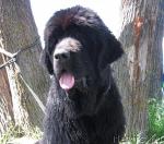 Превью фото № 46640