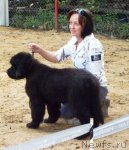 Превью фото № 46710