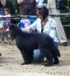 Превью фото № 46711