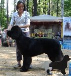 Превью фото № 46779