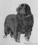 Превью фото № 469