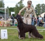 Превью фото № 47044