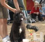 Превью фото № 47122