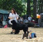 Превью фото № 47124