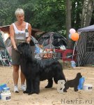 Превью фото № 47128