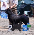 Превью фото № 47129