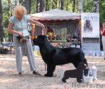 Превью фото № 47151