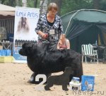 Превью фото № 47184