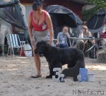 Превью фото № 47191