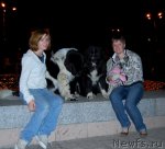 Превью фото № 47276