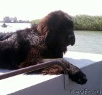 Превью фото № 47516