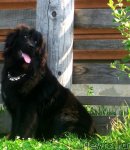 Превью фото № 47581