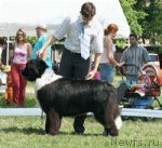 Превью фото № 47653