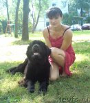 Превью фото № 47657