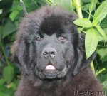 Превью фото № 47674