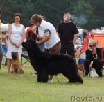 Превью фото № 47696
