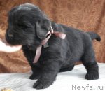 Превью фото № 47992