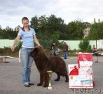 Превью фото № 48322