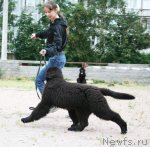 Превью фото № 48372