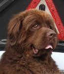 Превью фото № 48607