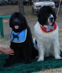 Превью фото № 48640