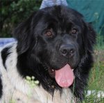 Превью фото № 48649