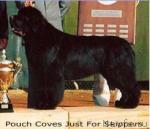 Превью фото № 487