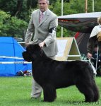 Превью фото № 48742