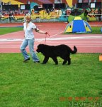 Превью фото № 48744