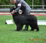 Превью фото № 48762