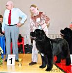 Превью фото № 4878