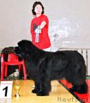 Превью фото № 4883